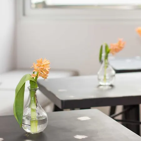 Appartement Vibe Split